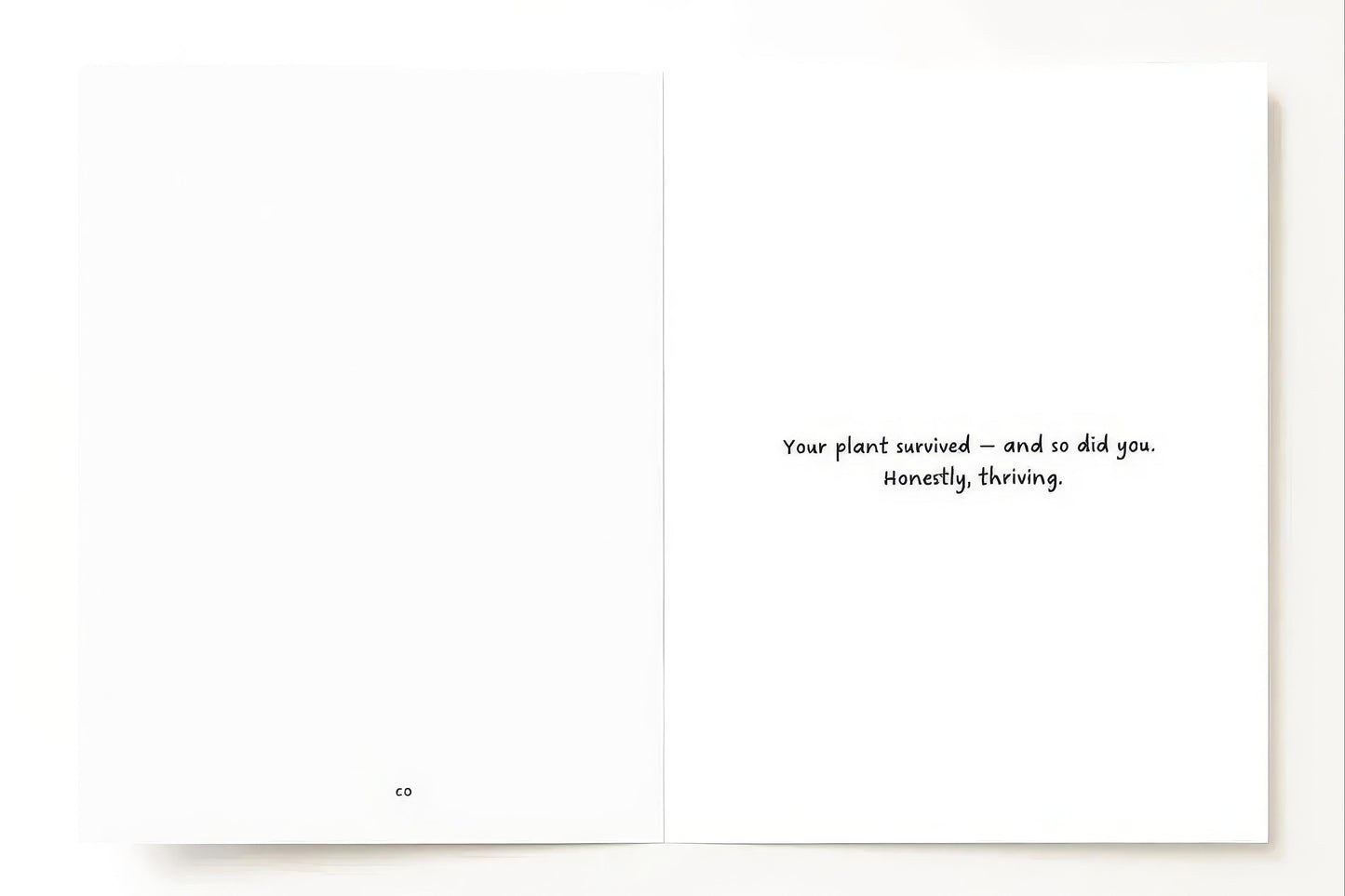 Plant card: 'Congrats on keeping it alive! Go you, you’ve proved yourself wrong.'